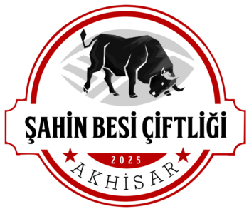şahin besi logo2025 web.fw şahin besi logo2025 web.fw